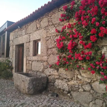 Treasure Roses Private Pool * ארממר